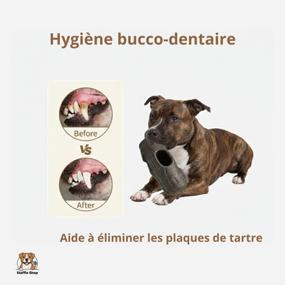 Jouet d’occupation rechargeable pour Staffie