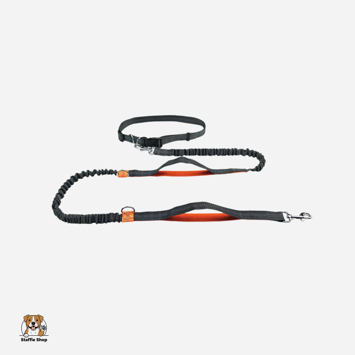 Laisse de canicross pour Staffie & chien sportif