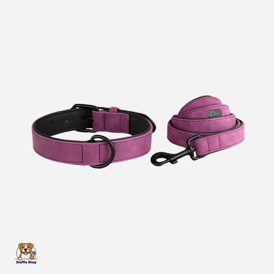 Ensemble Collier + laisse assortie