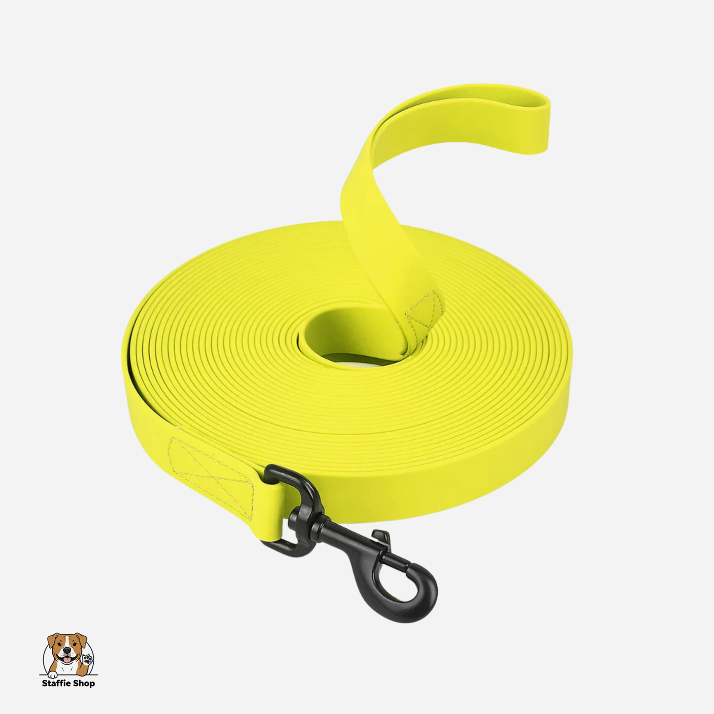 Longe d'apprentissage pour chiot et Staffie