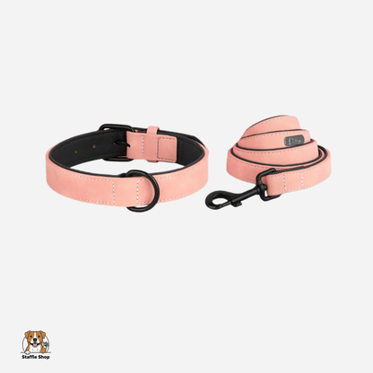 Ensemble Collier + laisse assortie