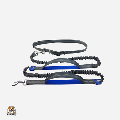 Laisse de canicross pour Staffie & chien sportif