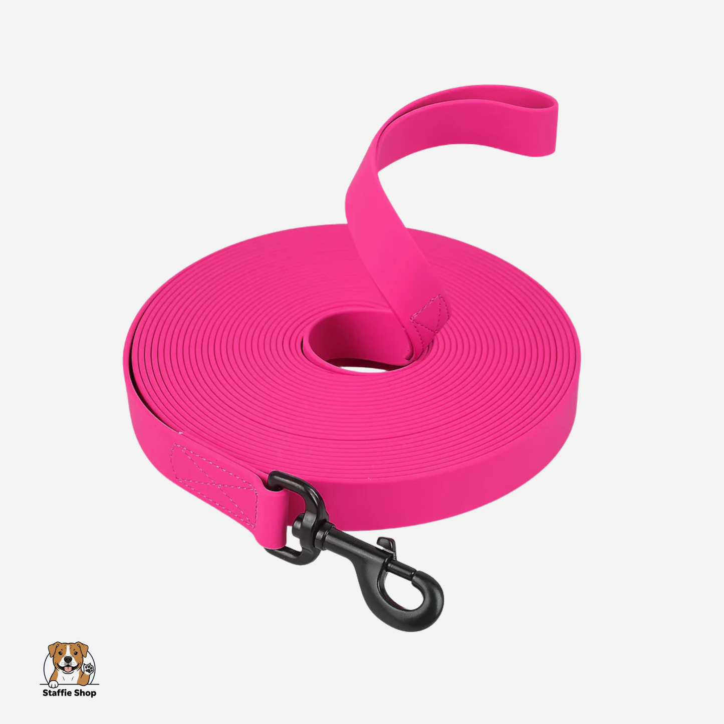 Longe d'apprentissage pour chiot et Staffie