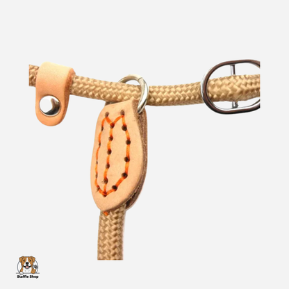 Laisse corde à boucle réglable pour Staffie