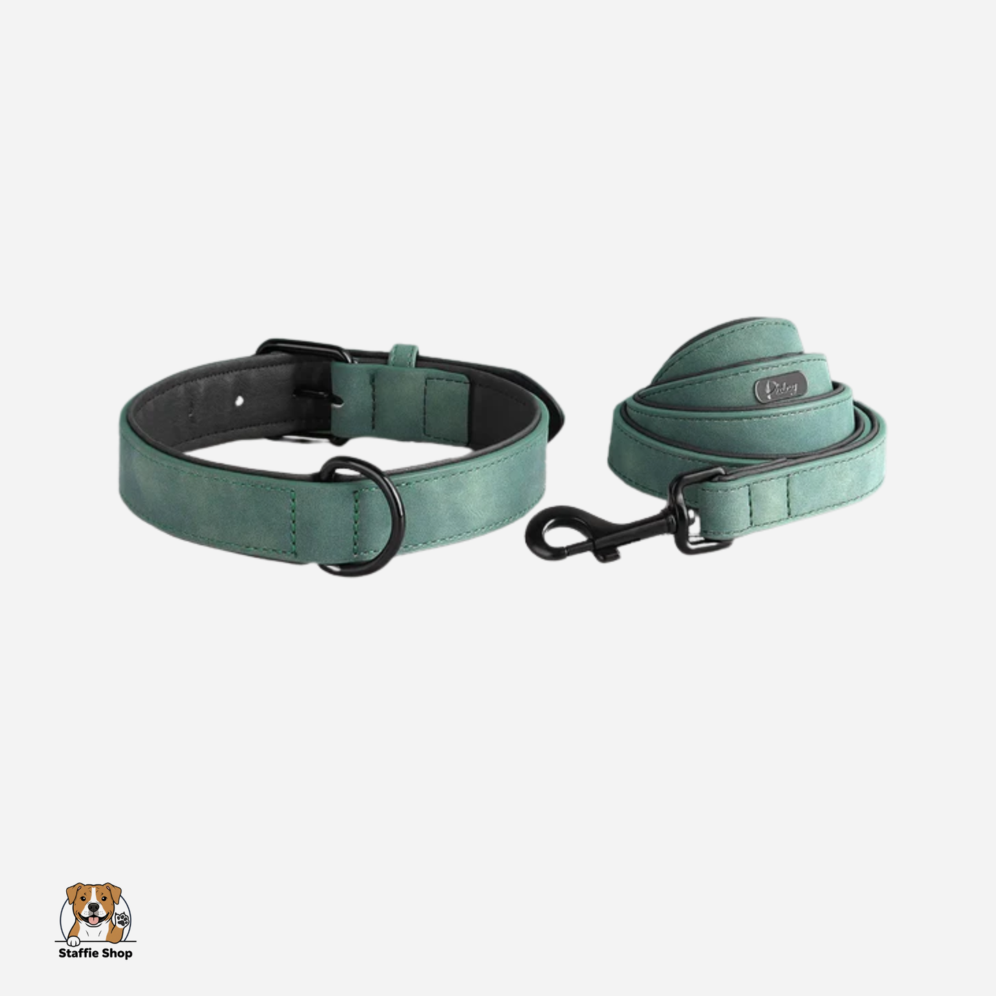 Ensemble Collier + laisse assortie