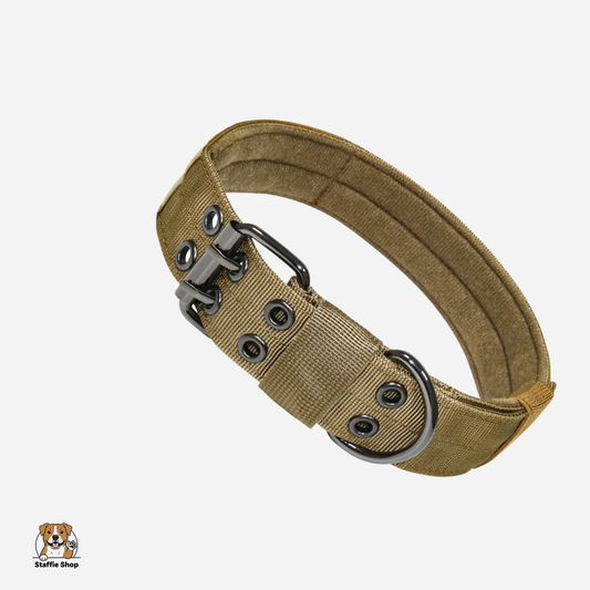 Collier léger à boucle