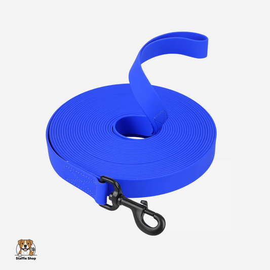 Longe d'apprentissage pour chiot et Staffie