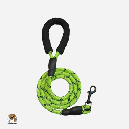 Laisse en Corde réfléchissante Staffie