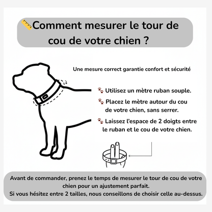 Collier en chaîne haute gamme Staffie