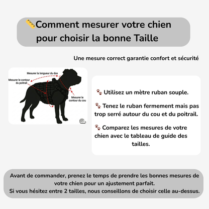 Harnais pour Staffie pochette intégrée pour sachets à déjections