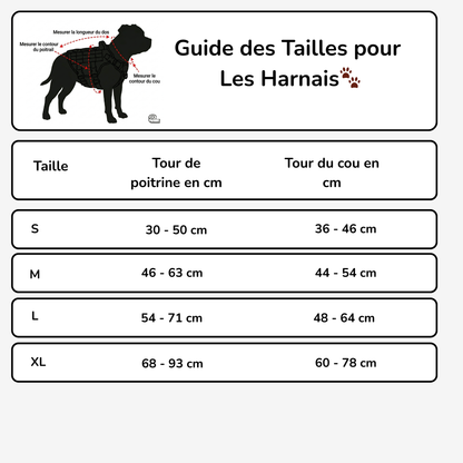 Harnais pour Staffie pochette intégrée pour sachets à déjections
