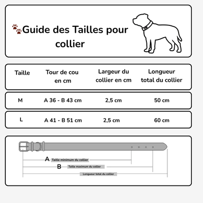 Collier en cuir fantaisie pour Staffie