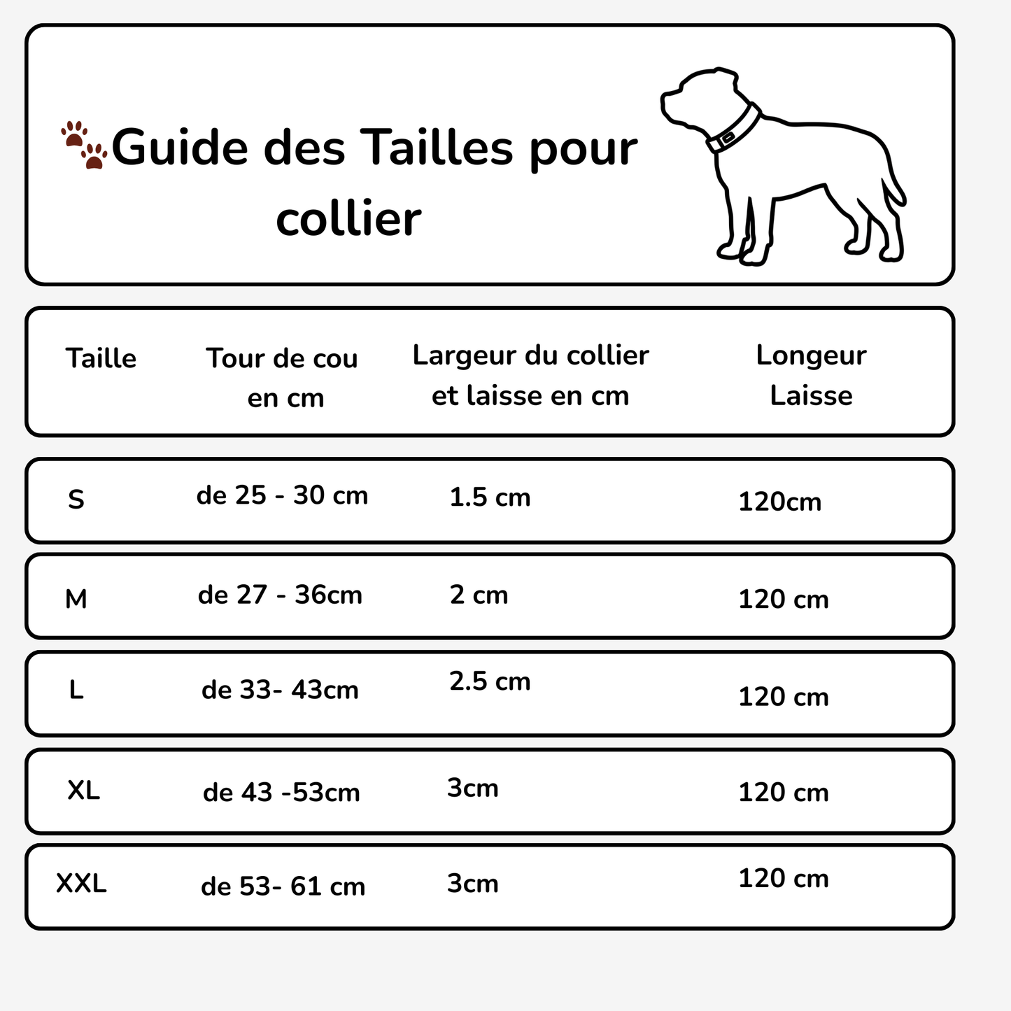 Ensemble Collier + laisse assortie