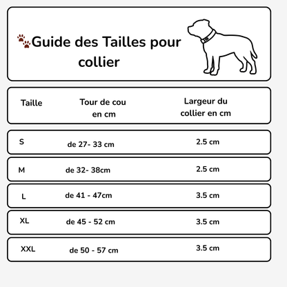 Collier en cuir à petits pics