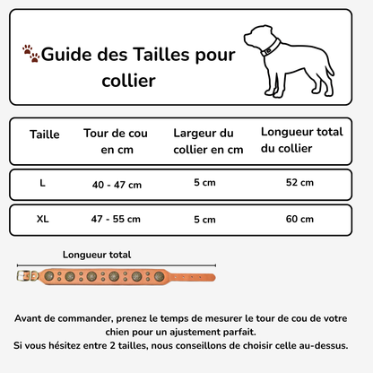 Collier en cuir large pour Staffie