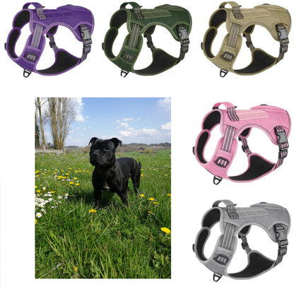 Harnais pour Staffie avec pochette intégrée pour sachet