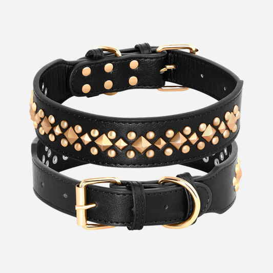 Collier en cuir clouté pour staffie
