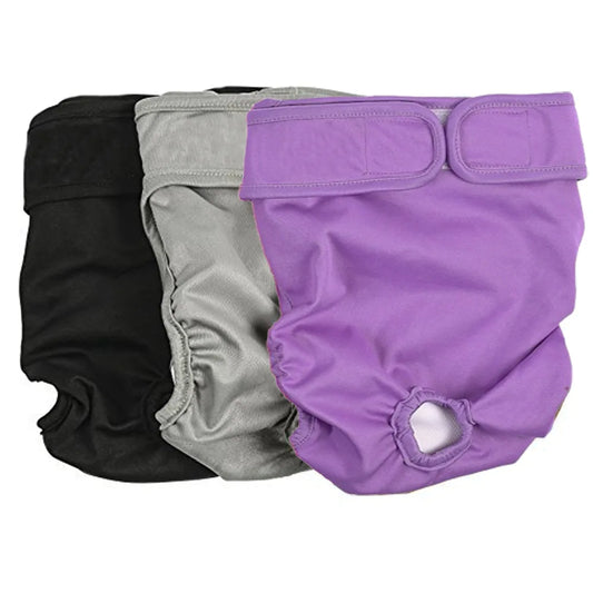 Culotte menstruelle pour Staffie
