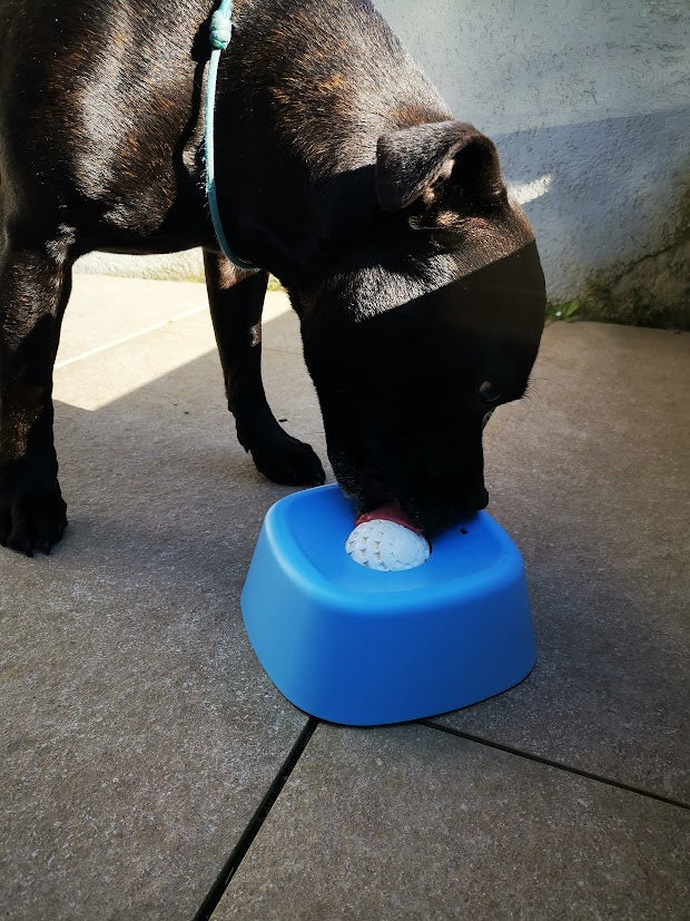Bol à lécher pour Staffie
