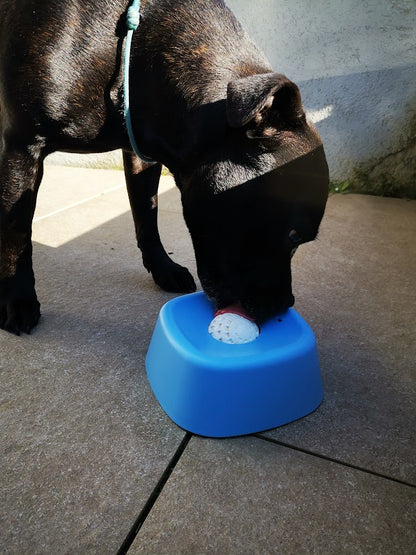 Bol à lécher pour Staffie