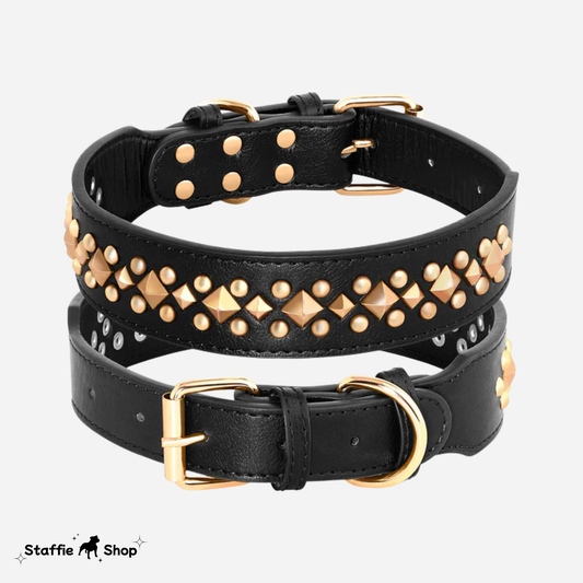 Collier en cuir clouté pour staffie