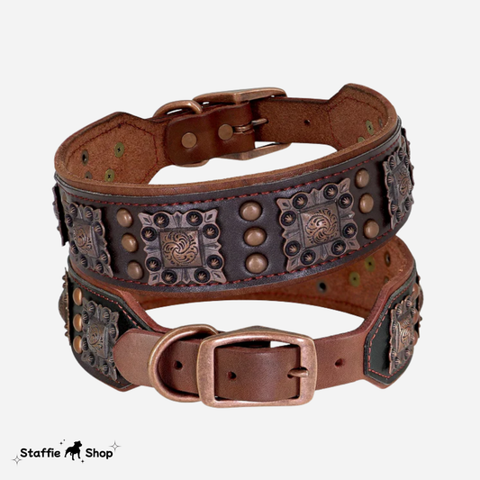 Collier en cuir & rivets métal pour Staffie