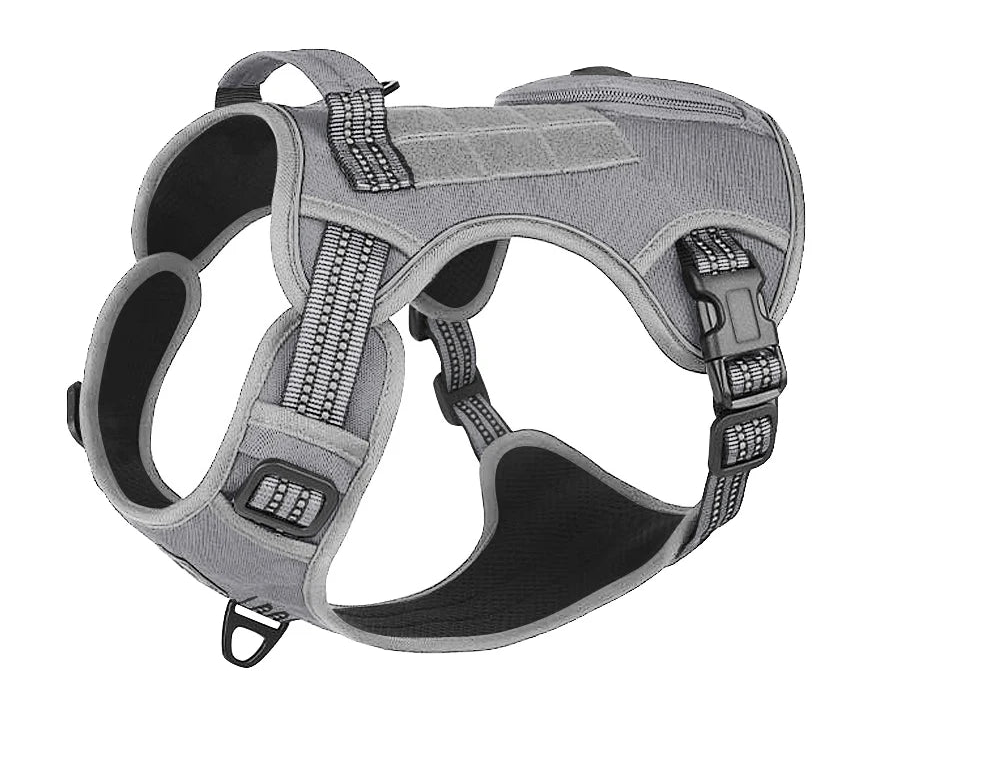 Harnais pour Staffie avec pochette intégrée pour sachet