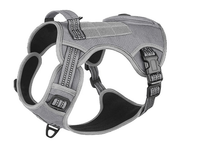 Harnais pour Staffie avec pochette intégrée pour sachet