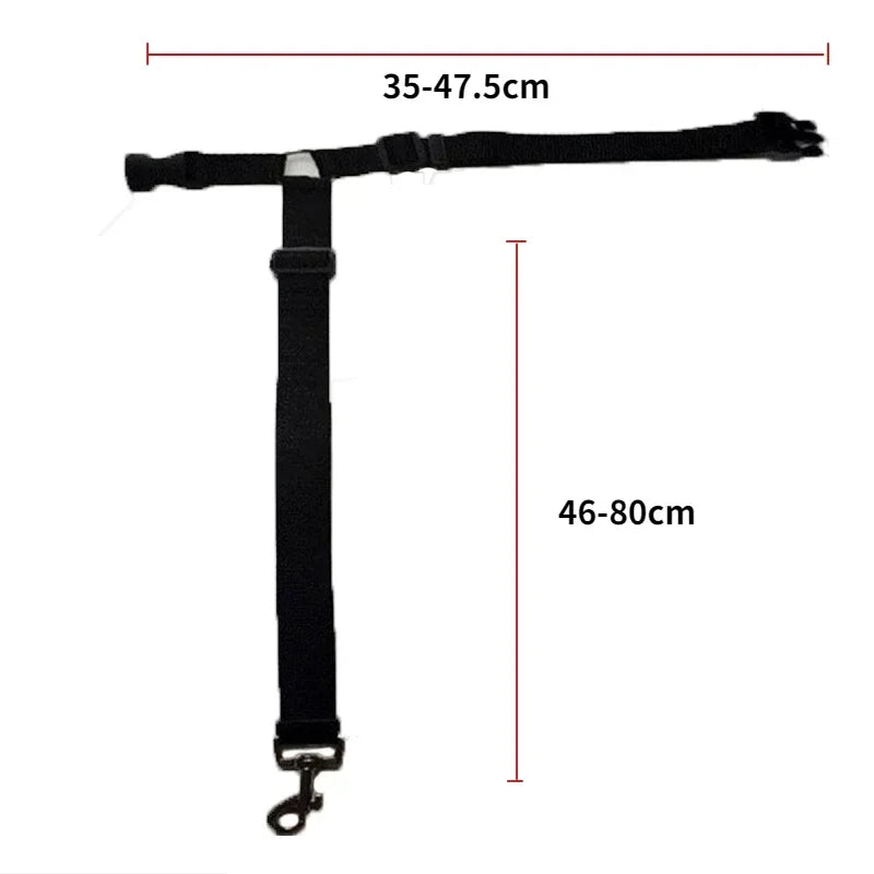 Ceinture de sécurité pour Staffie fixation appui tête