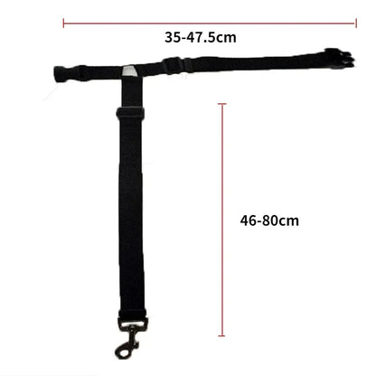 Ceinture de sécurité pour Staffie fixation appui tête