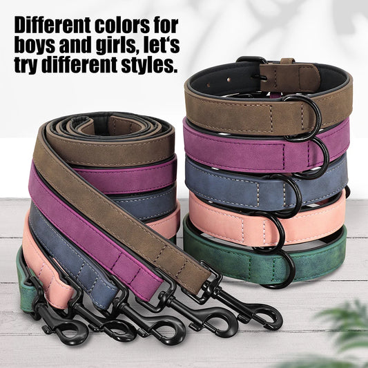 Ensemble Collier & Laisse assortie pour Staffie