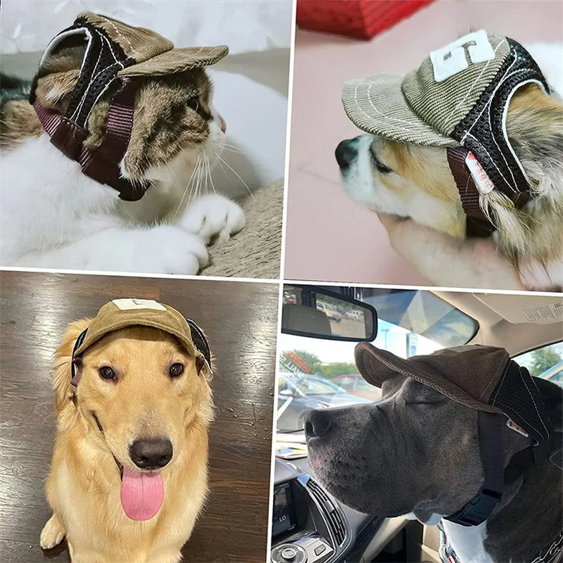Casquette pour Staffie