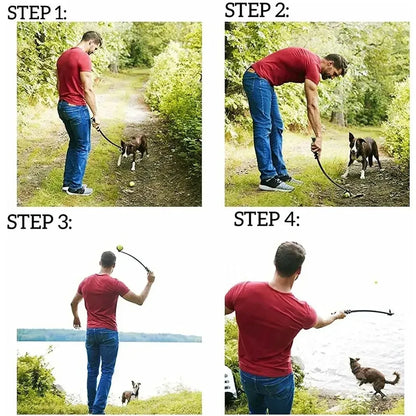 Bâton a lancer les balles pour Staffie