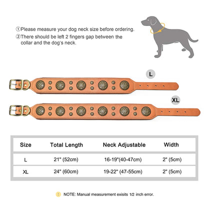 Collier en cuir pour Staffie