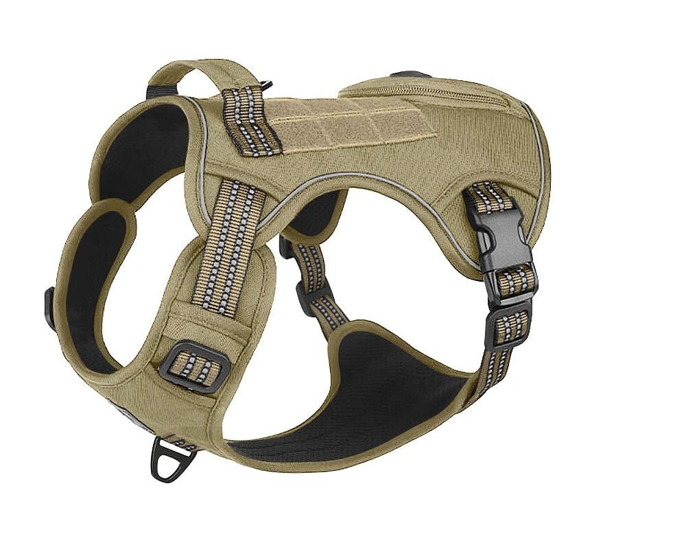 Harnais pour Staffie avec pochette intégrée pour sachet