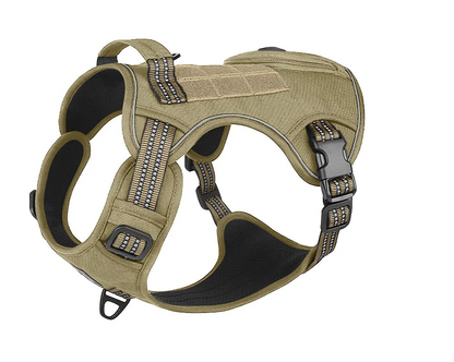 Harnais pour Staffie avec pochette intégrée pour sachet