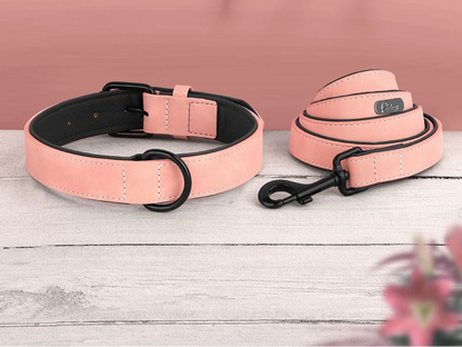 Ensemble Collier assortie pour Staffie