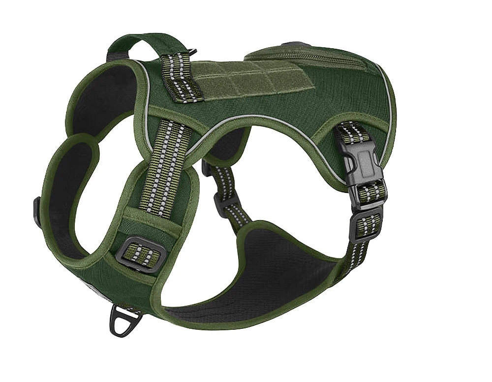 Harnais pour Staffie avec pochette intégrée pour sachet