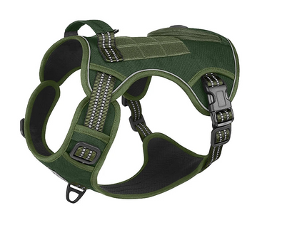 Harnais pour Staffie avec pochette intégrée pour sachet