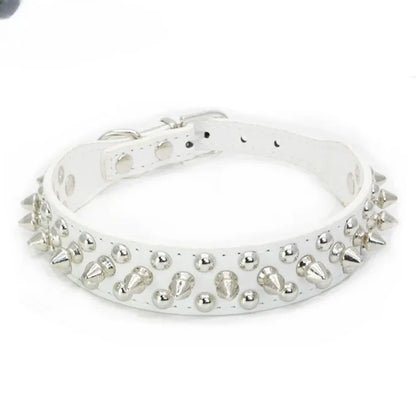 Collier en cuir orné de piques pour Staffie
