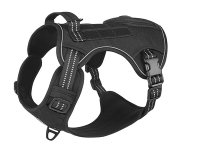 Harnais pour Staffie avec pochette intégrée pour sachet