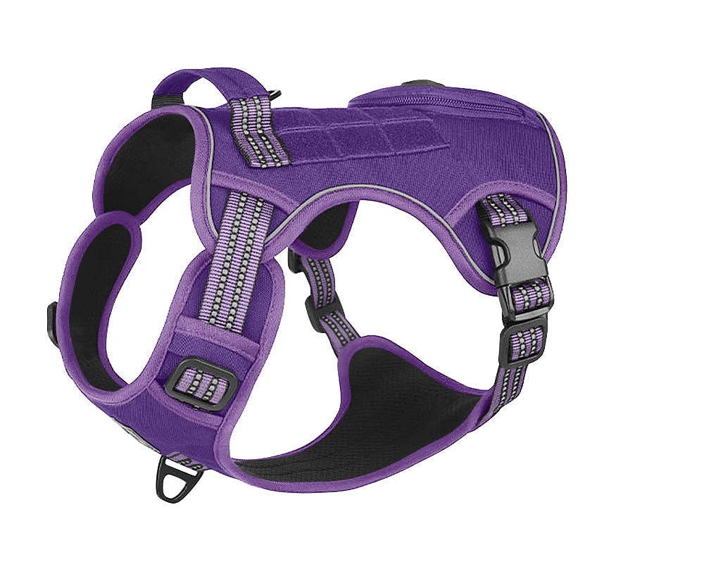 Harnais pour Staffie avec pochette intégrée pour sachet