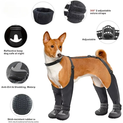 Chaussure avec bretelle pour Staffie
