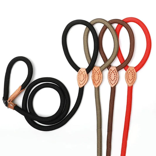 Laisse Collier à boucle réglable pour Staffie