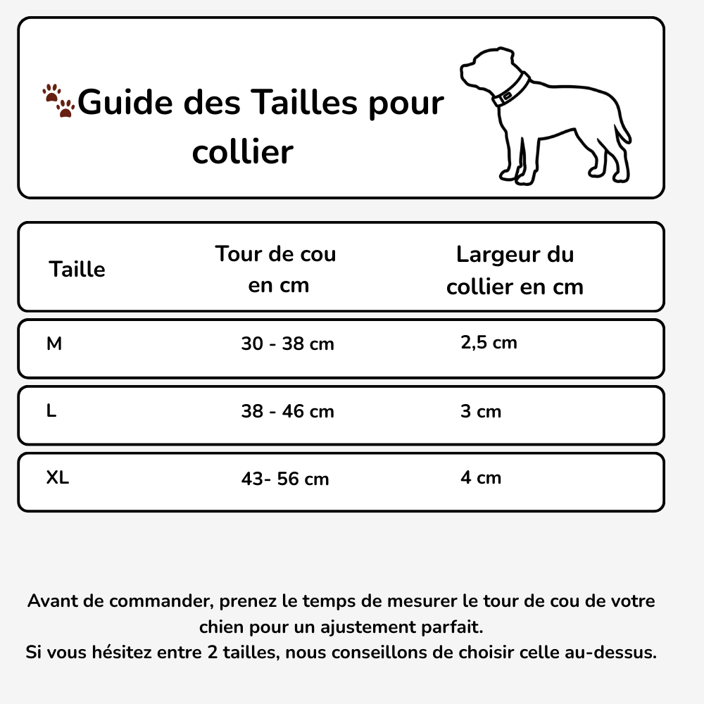 Collier en cuir clouté Staffie