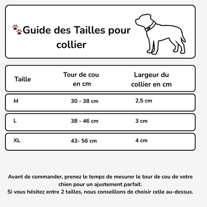 Collier en cuir clouté Staffie