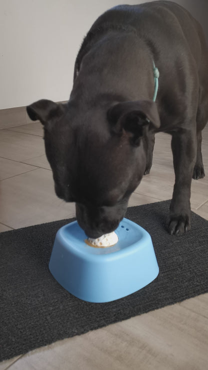 Bol à lécher pour Staffie