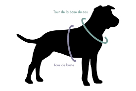 Harnais réfléchissant avec poignée pour Staffie
